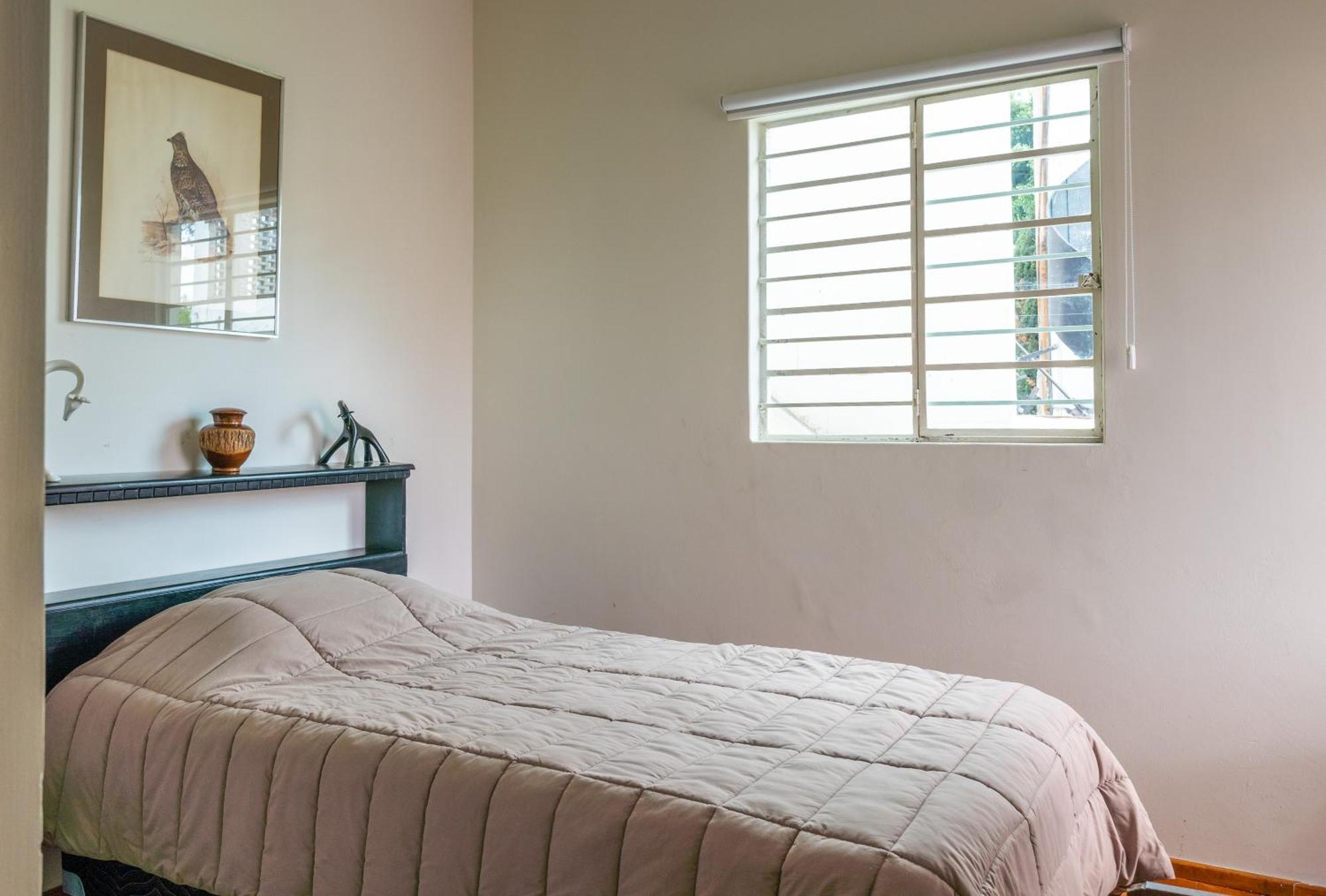 Single Room,1620519266:JPEG